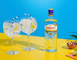 GORDONS DRY GIN 1LTR